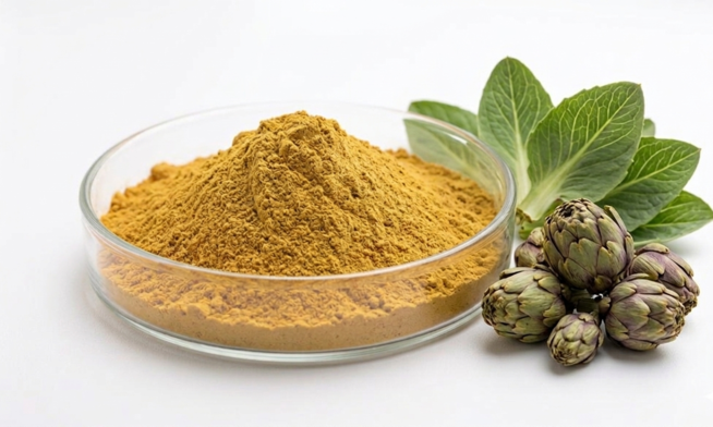 Artichoke Powder Extract