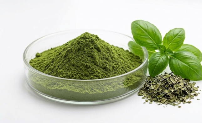 Basil Powder Extract