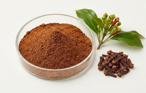 Clove Powder Extract