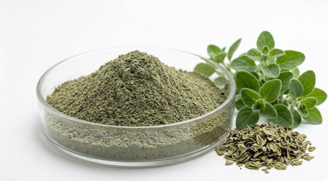 Marjoram Powder Extract